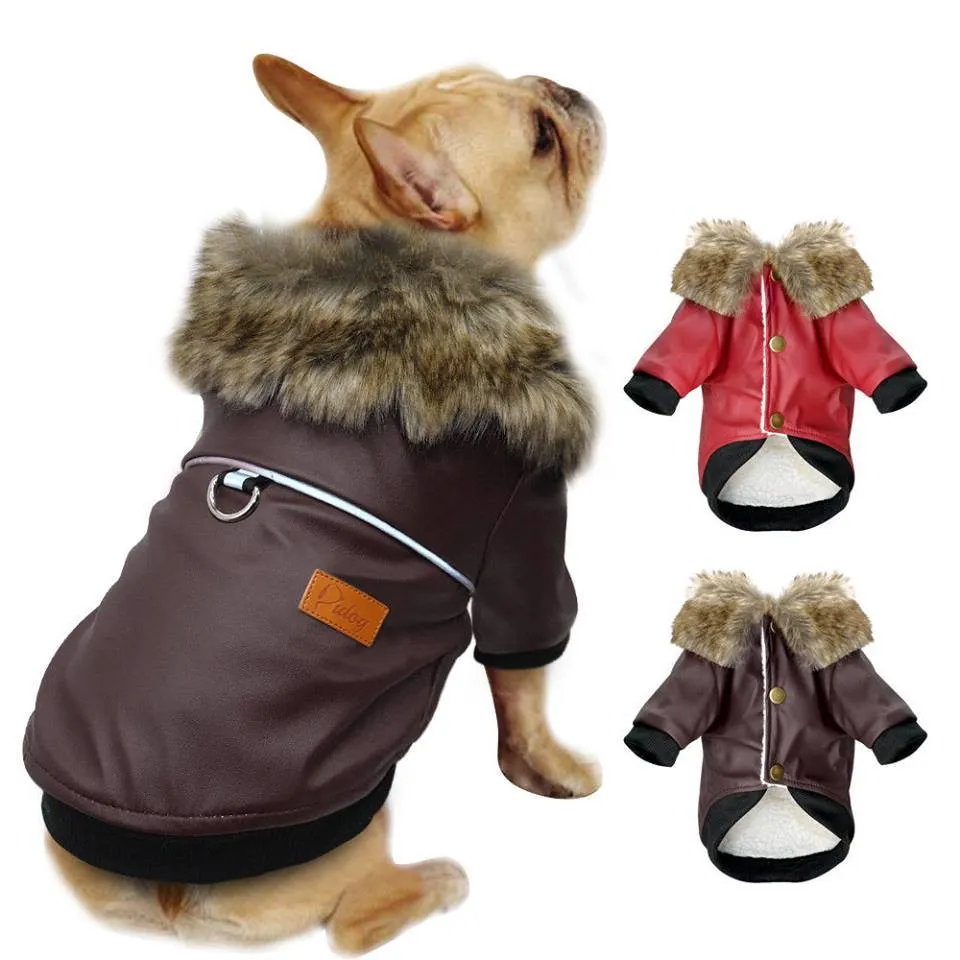 Stylish Leather Coat for French Bulldog (WS74)