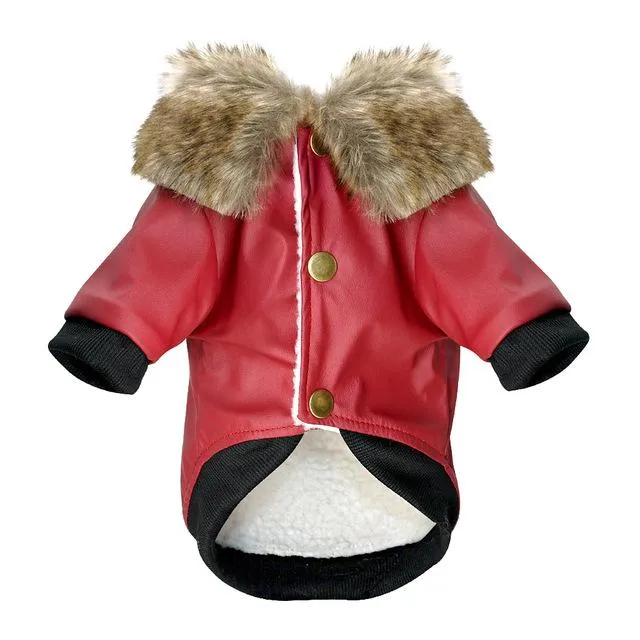 Stylish Leather Coat for French Bulldog (WS74)