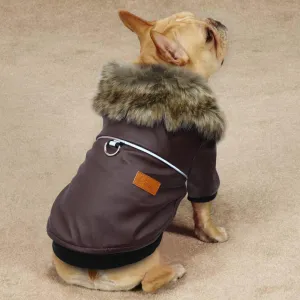 Stylish Leather Coat for French Bulldog (WS74)